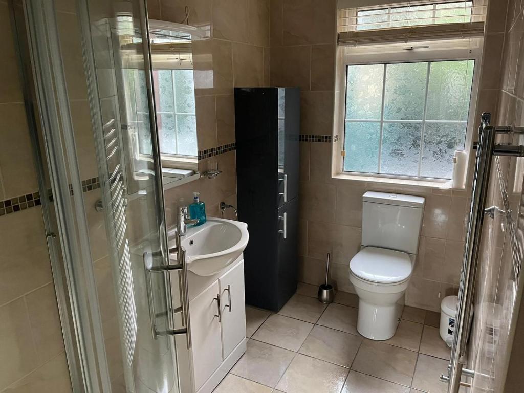 a bathroom with a toilet and a sink and a shower at Kinsale town cosy home 2 min walk to town center in Kinsale