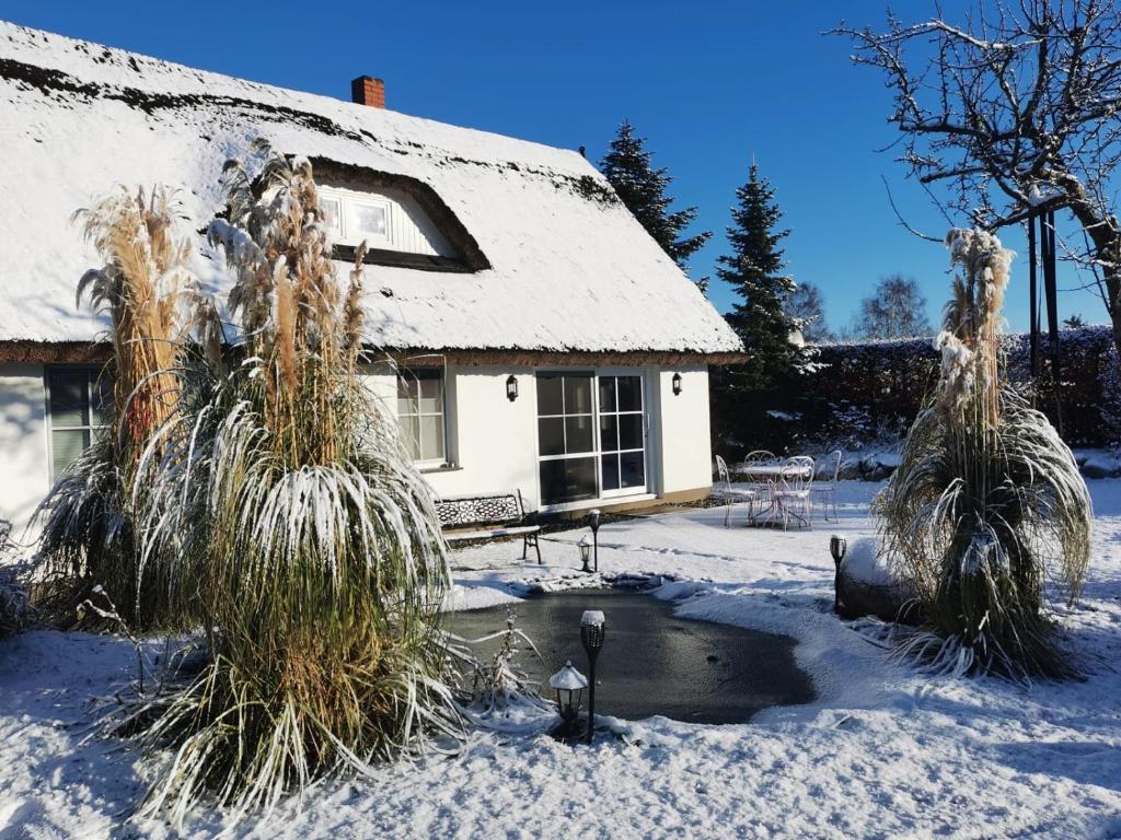 Reetferienhaus - Schaprode Hafen trong mùa đông