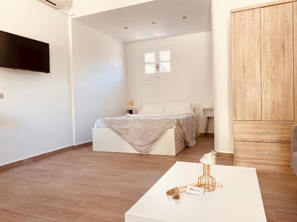 TV a/nebo společenská místnost v ubytování Louvros Luxury Suites