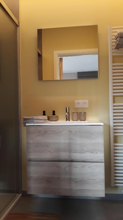 La salle de bains est pourvue d'un lavabo et d'un miroir. dans l'établissement B&B Valant, à Bruges