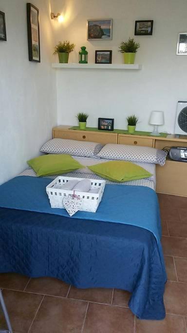 Postel nebo postele na pokoji v ubytování Cinque Terre Sea View