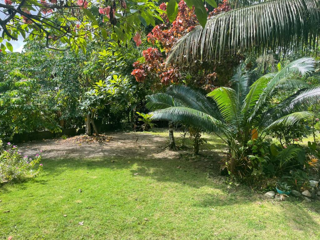 Jardín al aire libre en Cabañas Tucan Eco Hotel