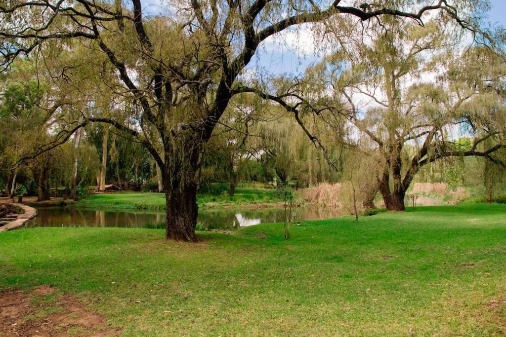 a tree in the grass next to a pond at Oakdene Cottage in Roodepoort