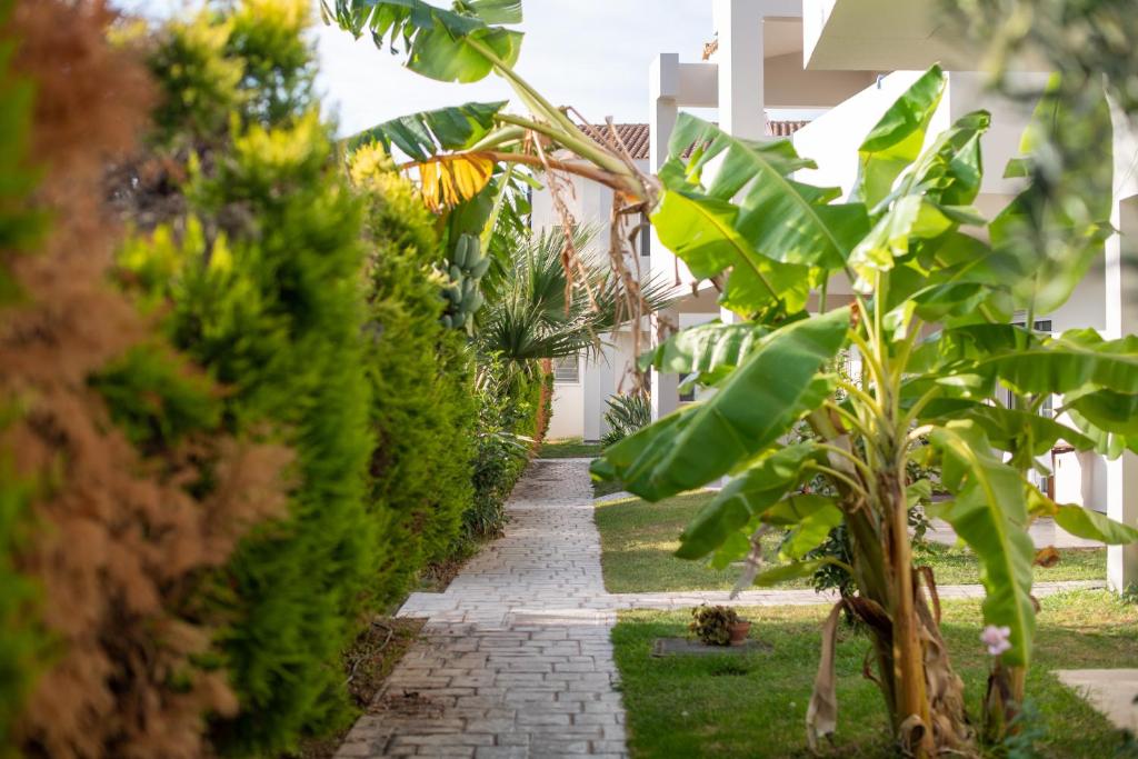 a path leading to a garden filled with plants at Alkistis Hotel in Diakopto