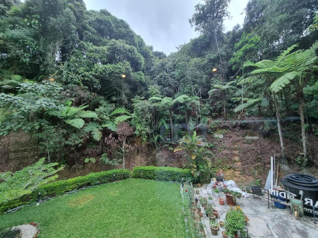 Zahrada ubytování Highlanders Garden Guesthouse at Arundina Cameron Highlands