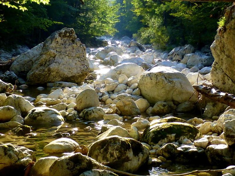 Príroda v okolí apartmánu
