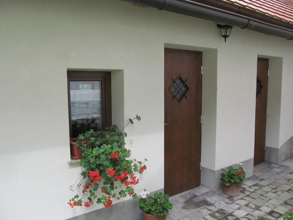 una casa con dos macetas y una puerta en Apartment Sever, en Idrija