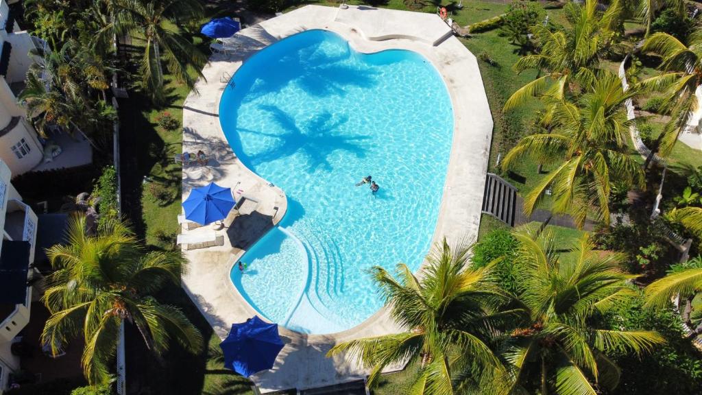 an overhead view of a large blue swimming pool with a person in a swimsuit at Villa Dreamteam in Flic-en-Flac