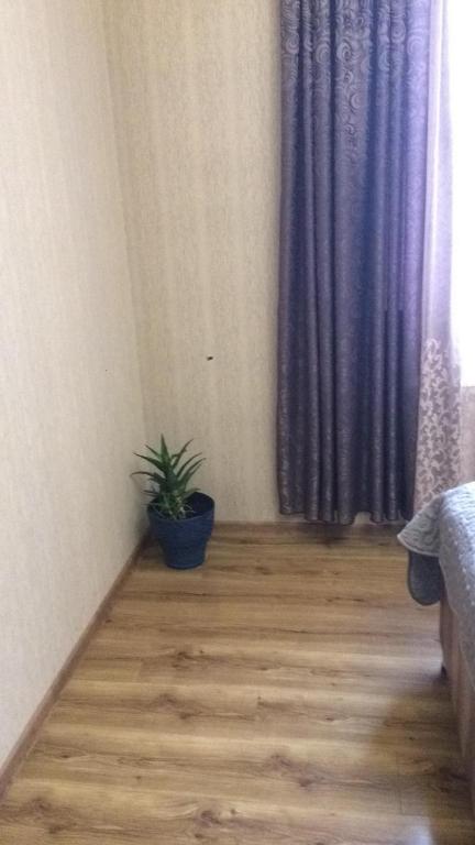 Foto de la galeria de Guest house Babaka a Sighnaghi