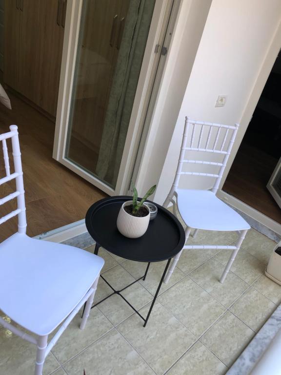 Franci's apartament No.2 - Image 14