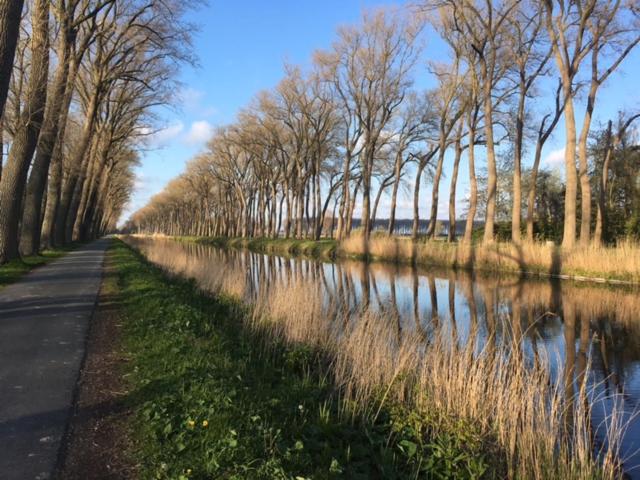 un camino junto a un río con árboles a un lado en Domus Damme, en Damme