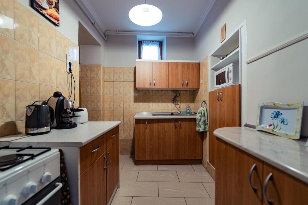 Kuchyňa alebo kuchynka v ubytovaní Estike Apartman