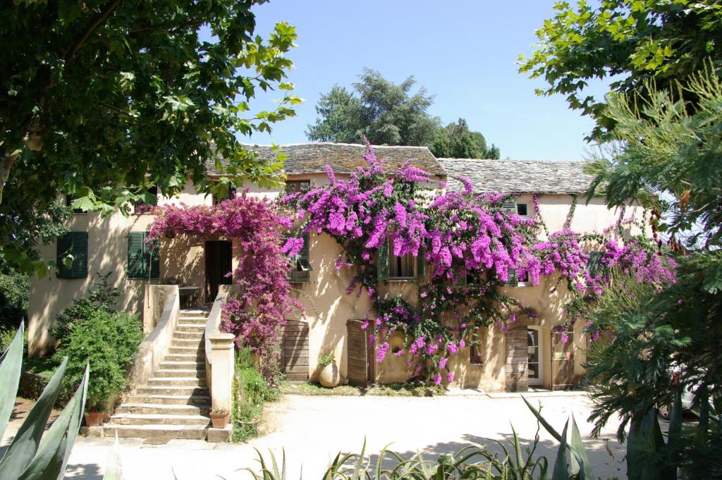 Domaine de Valle في Sorbo-Ocagnano: منزل عليه زهور أرجوانية