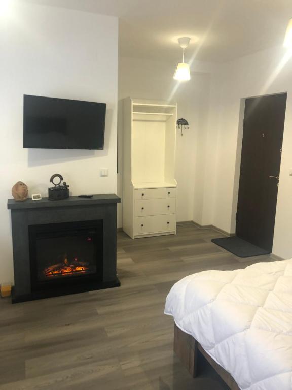 a bedroom with a fireplace and a tv on the wall at Garsoniera La Munte in Azuga