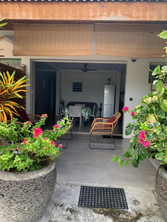 Le Tropical appartement 1 ou 2 chambres