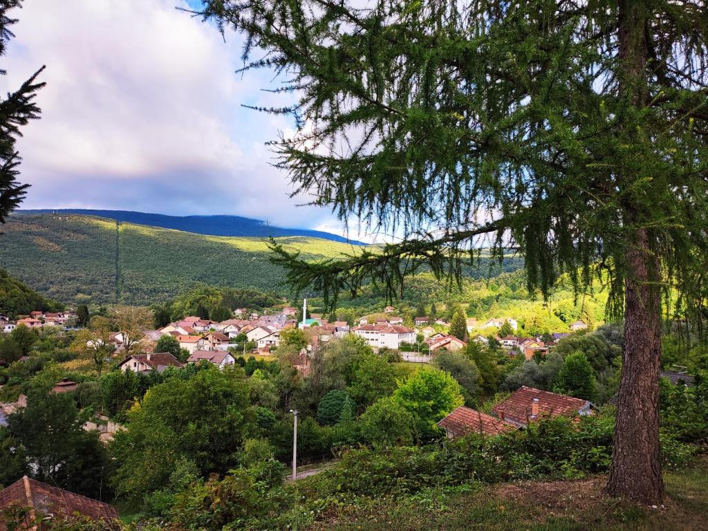 Příroda nedaleko apartmánu