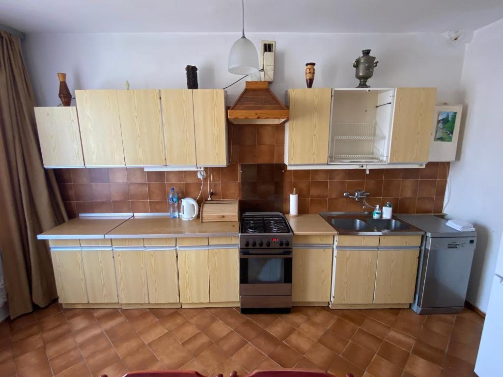 Kuchyň nebo kuchyňský kout v ubytování Bella Casa Economy Villa - Skibowa, close to Bielany