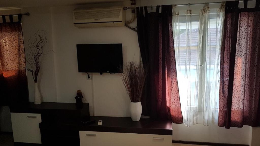 LIRA EXCELLENT NIS - Resim 11