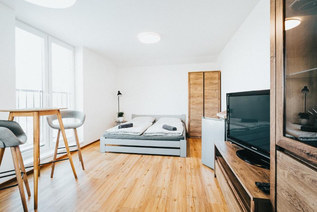 TV a/nebo společenská místnost v ubytování Apartmán Milbach