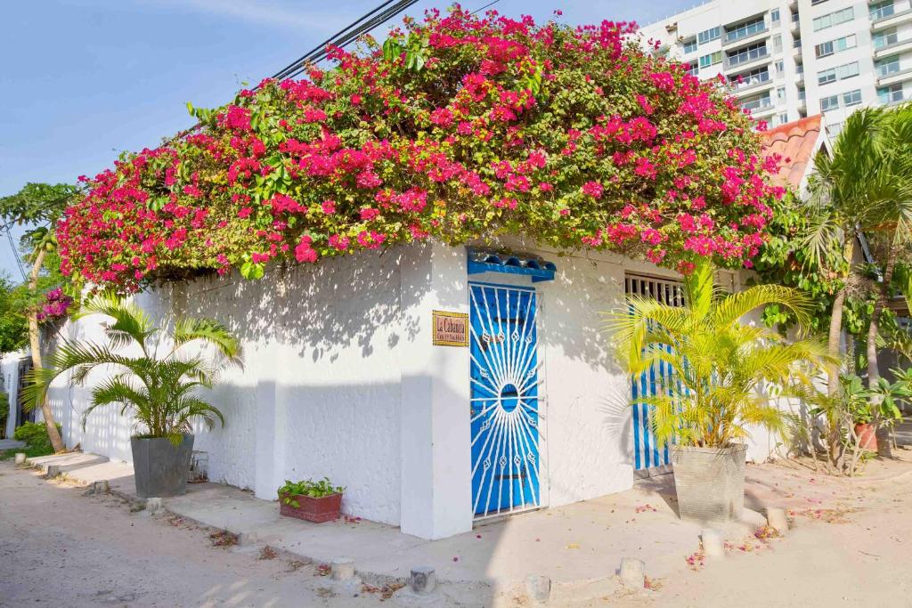 a building with pink flowers on top of it at Casa para 5 cerca a la mejor playa de Cartagena in Cartagena de Indias