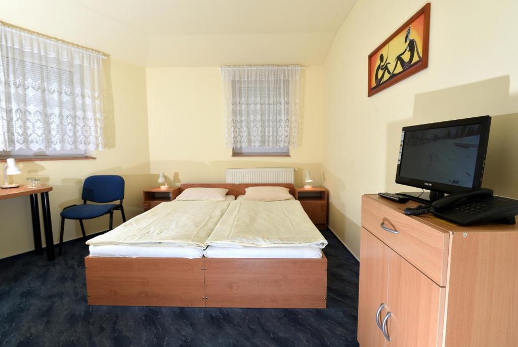 a bedroom with a bed with a television and a desk at Hotel U Jezírka in Liberec