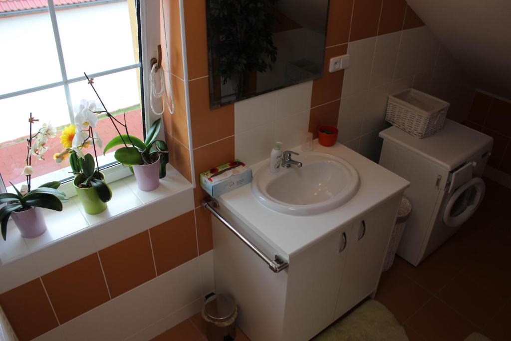 Fotografie z fotogalerie ubytování Orange Loft Apartment v Kájově