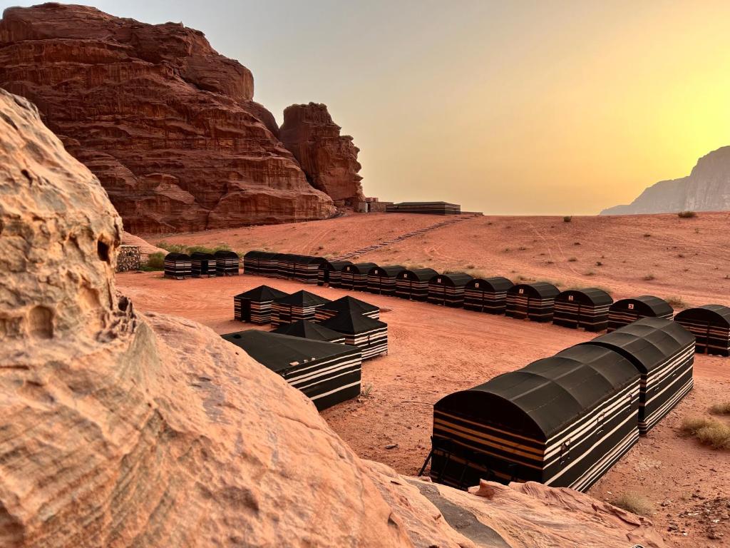 a group of train cars parked in the desert at Bedouin Lifestyle Camp in Wadi Rum