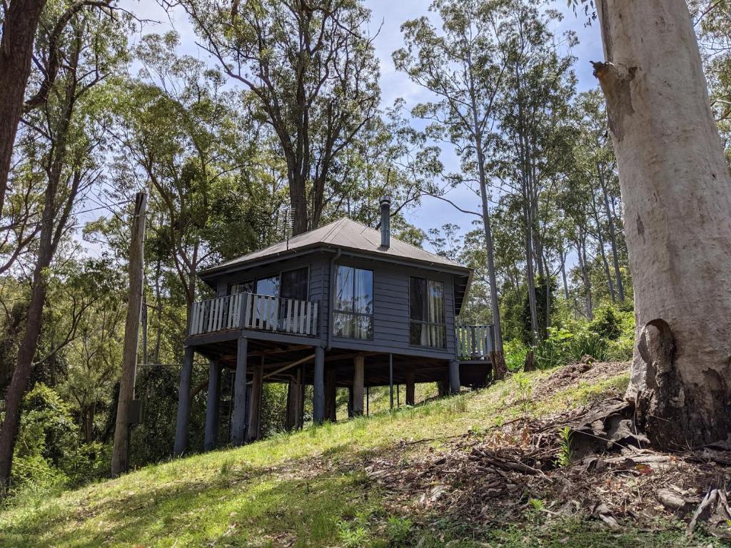 a tree house on a hill in the woods at Romantic Cabin Escapes Barrington Tops - Lorikeet in Bandon Grove