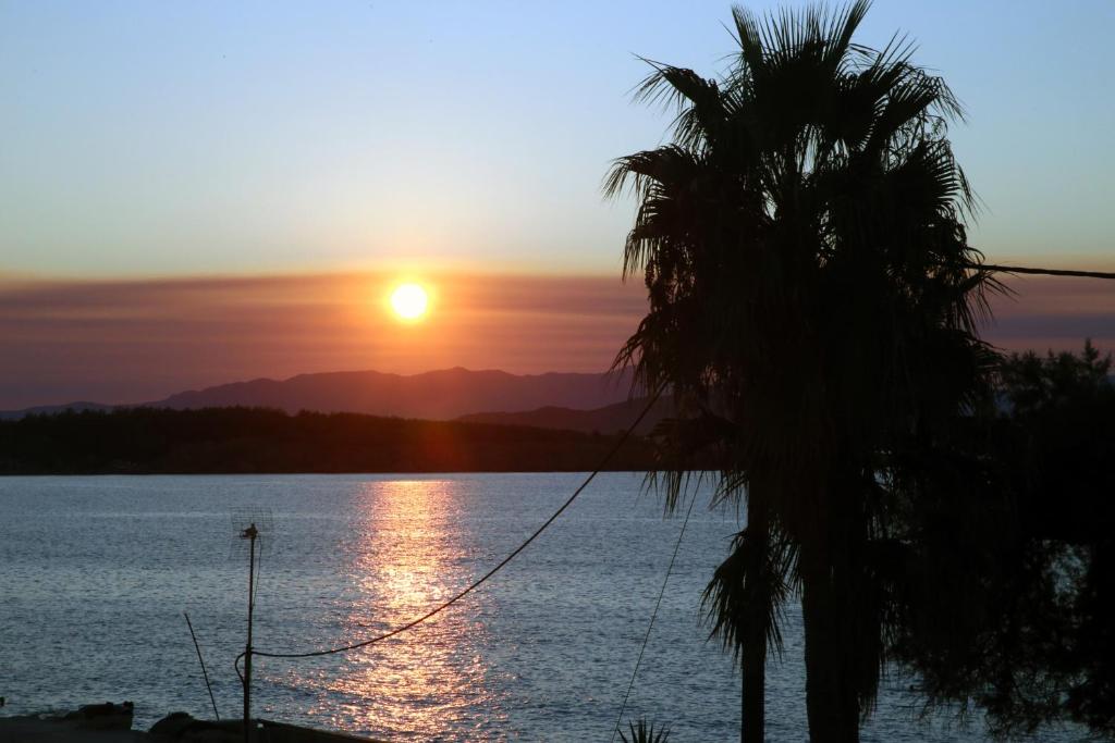 a sunset over the water with a palm tree at THALIA APARTMENTS CHANlA in Chania