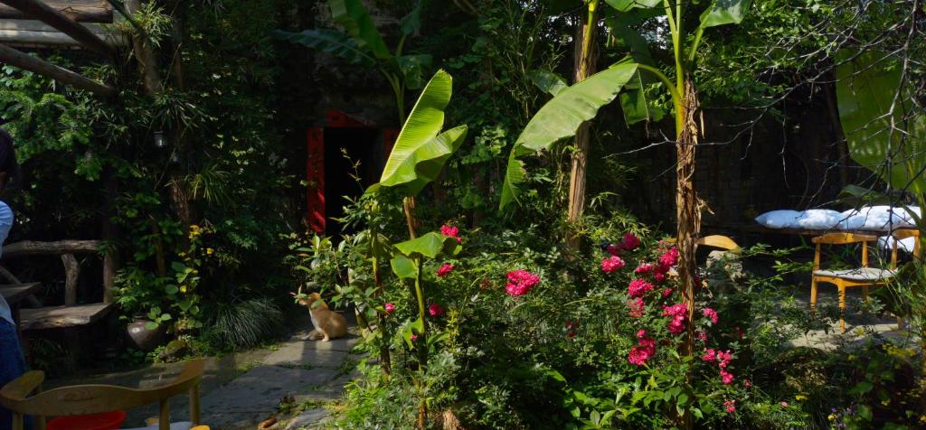 Giardino di WuYuan QiYe YanXiang Guesthouse