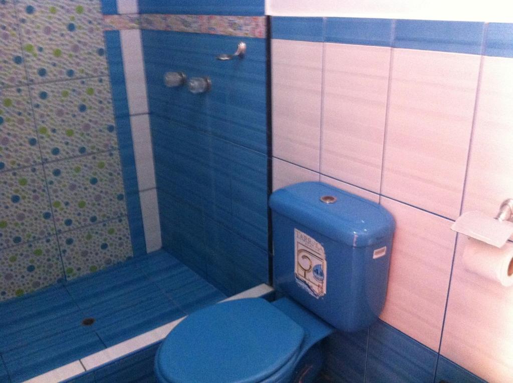 a bathroom with a blue toilet and a shower at Hostal Luren in Nazca