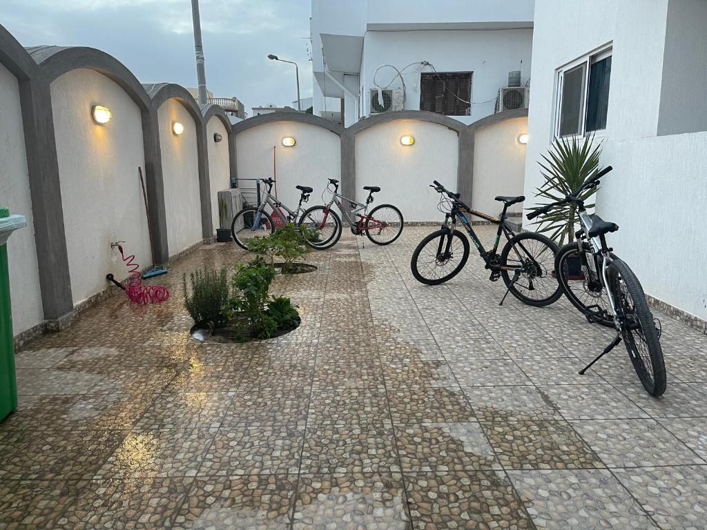 Катание на велосипеде по территории Elite Residence Dahab или окрестностям