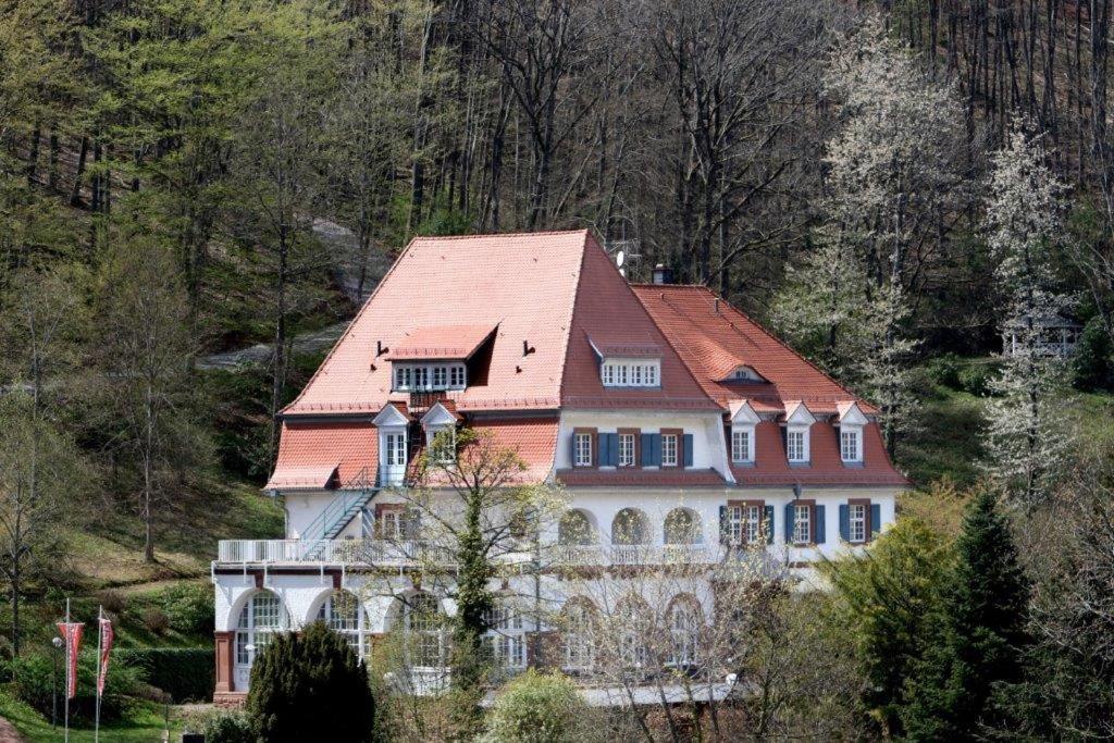 Příroda nedaleko hotelu