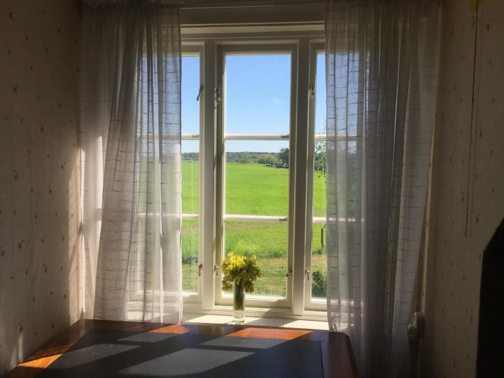 Martebo Bed & Breakfast في Tingstäde: نافذة بها إناء من الزهور في الغرفة