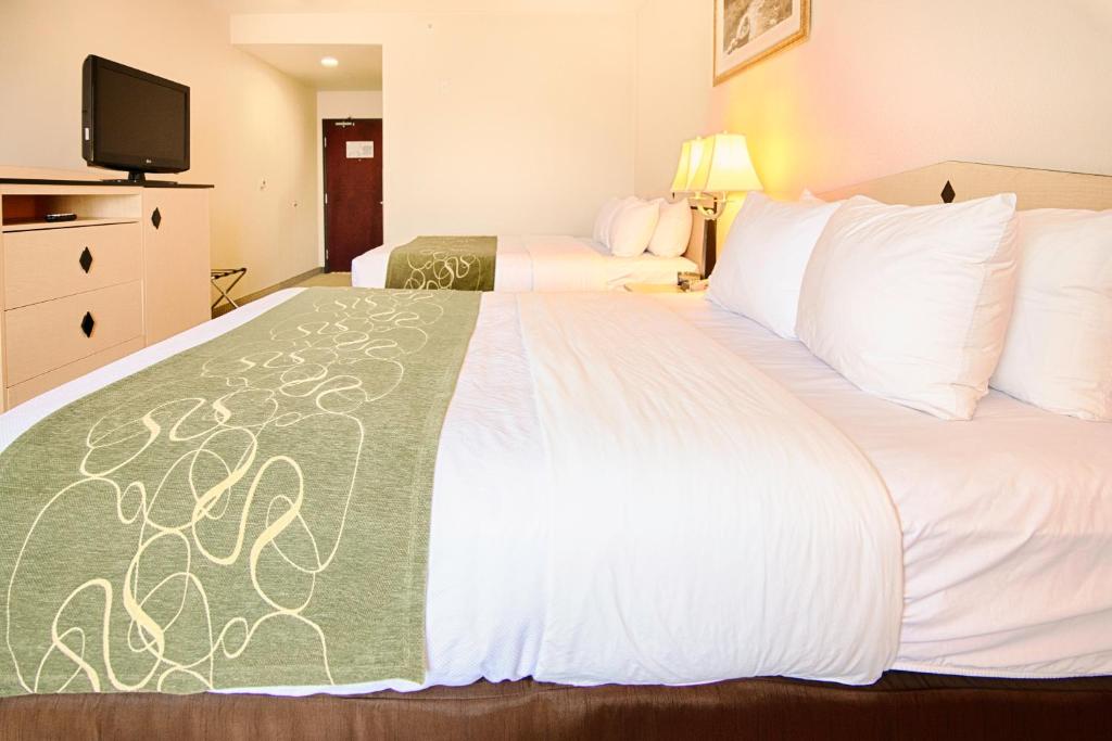 Comfort Inn & Suites Airport Convention Center photo