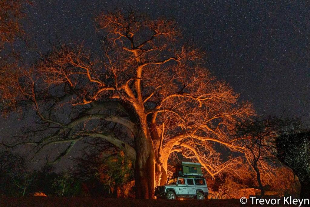 un camión estacionado al lado de un gran árbol por la noche en Nthakeni Bush & River Camp, en Pafuri Gate