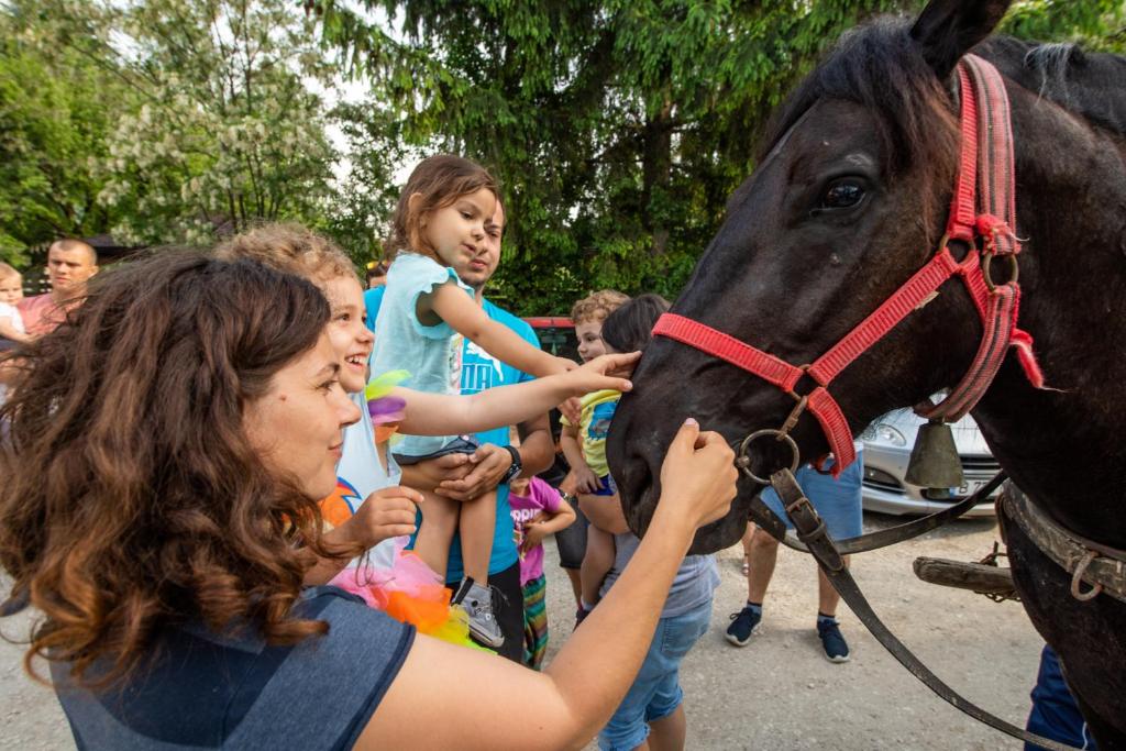 a woman petting the nose of a black horse at Pension Mama Cozonacilor in Bran