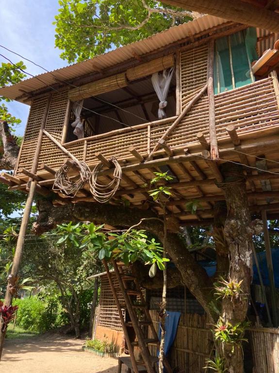 Casa na Árvore