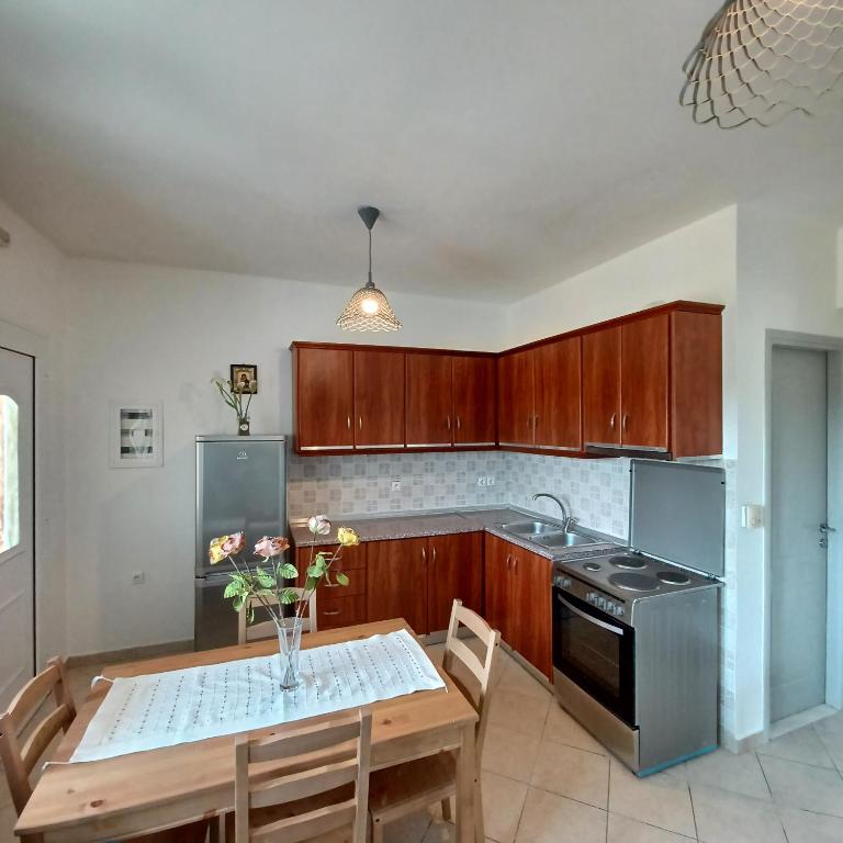 Kuchyň nebo kuchyňský kout v ubytování Eleonas Apartment 1, Lygia