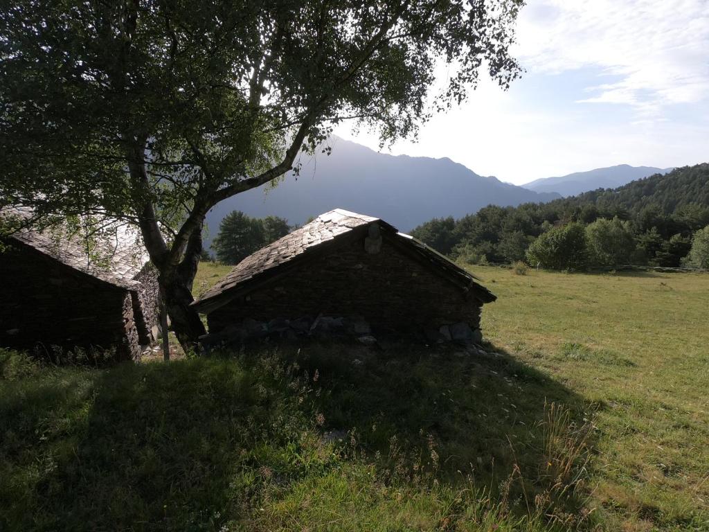 Bordes Pirineu, Costuix, Àreu – Preus actualitzats 2022