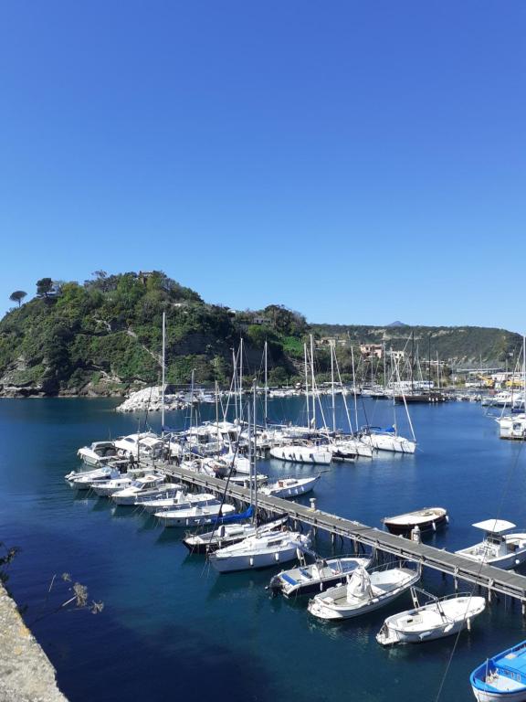 a bunch of boats are docked in a harbor at LES PETITES MAISONS maison orange in Procida