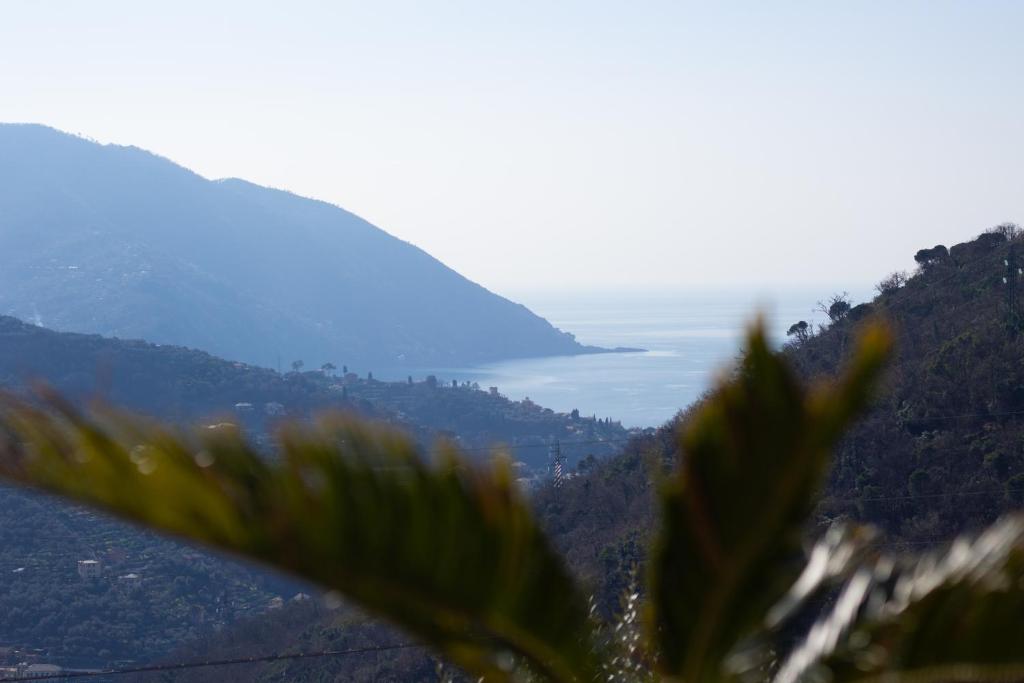 vistas al océano desde una montaña en Villa Le Macine, en Molino Nuovo