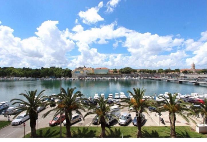 vistas a un puerto deportivo con barcos y palmeras en Apartman Zadar Centar(free parking and wi-fi), en Zadar