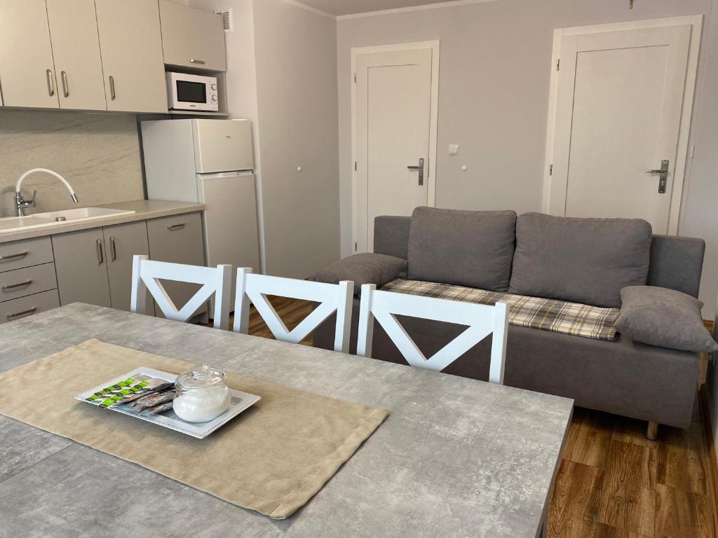 Kuchyňa alebo kuchynka v ubytovaní Apartamenty Nad Rzeką