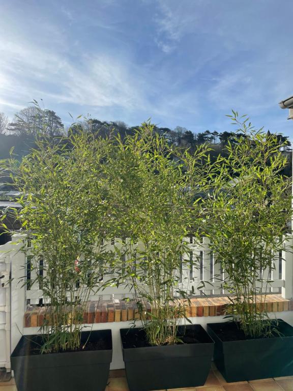 En have udenfor Etretat: agréable maison de ville