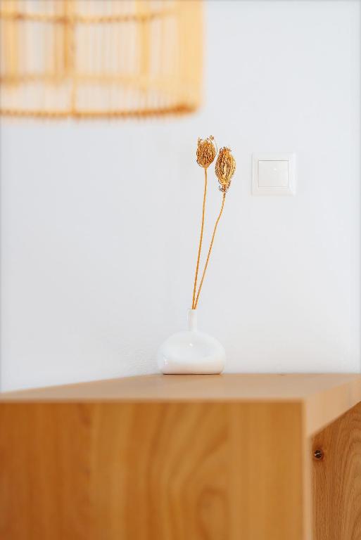 Fotografie z fotogalerie ubytování Kallidora Home v destinaci Astypalaia