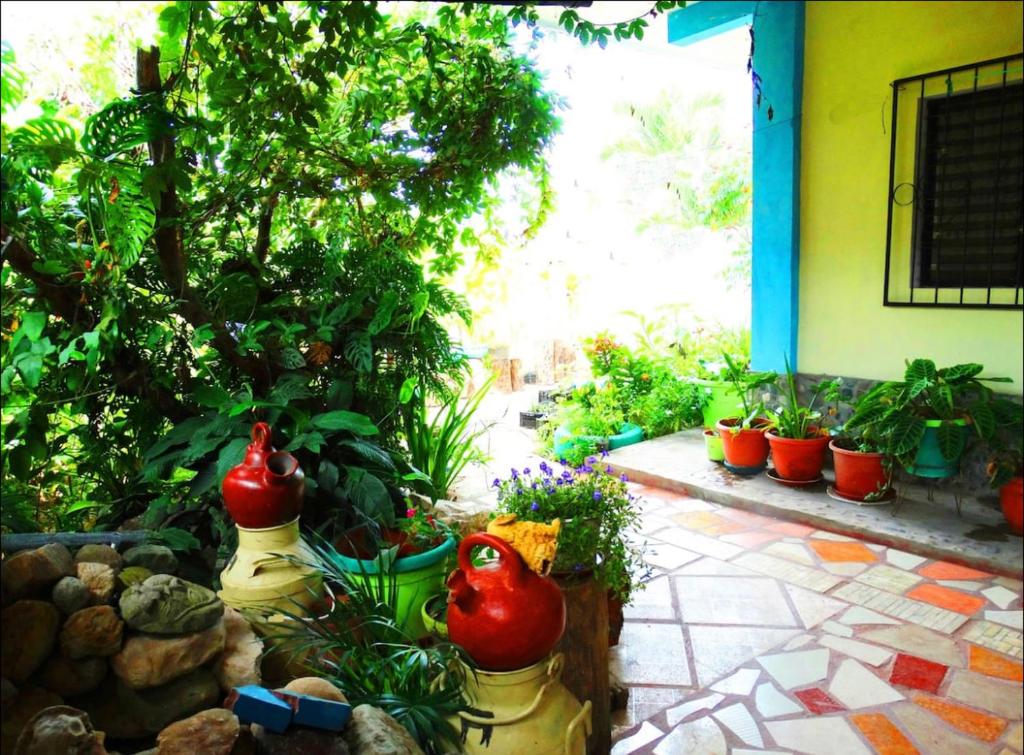 Zahrada ubytování Casa “Doña Zoyla” B&B