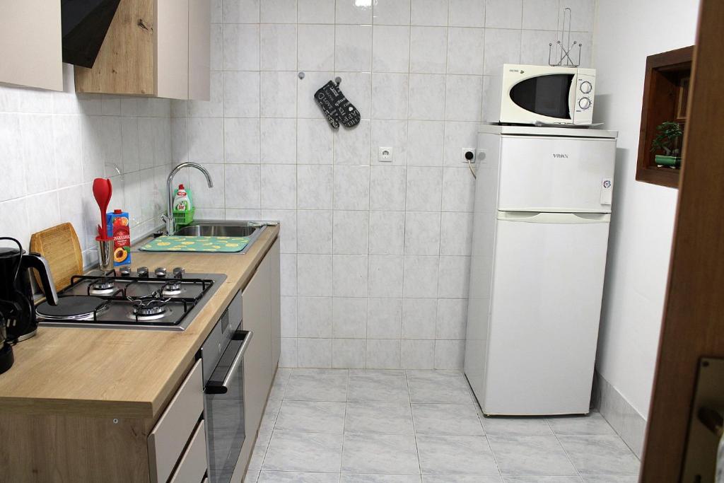Kuchyň nebo kuchyňský kout v ubytování Apartment Zepina