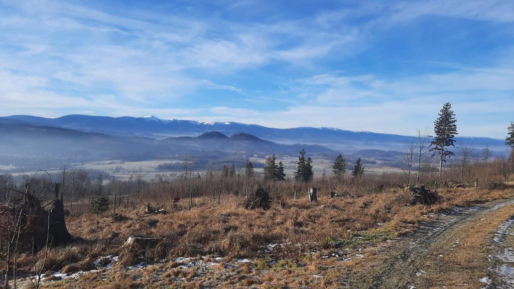 Príroda v okolí apartmánu