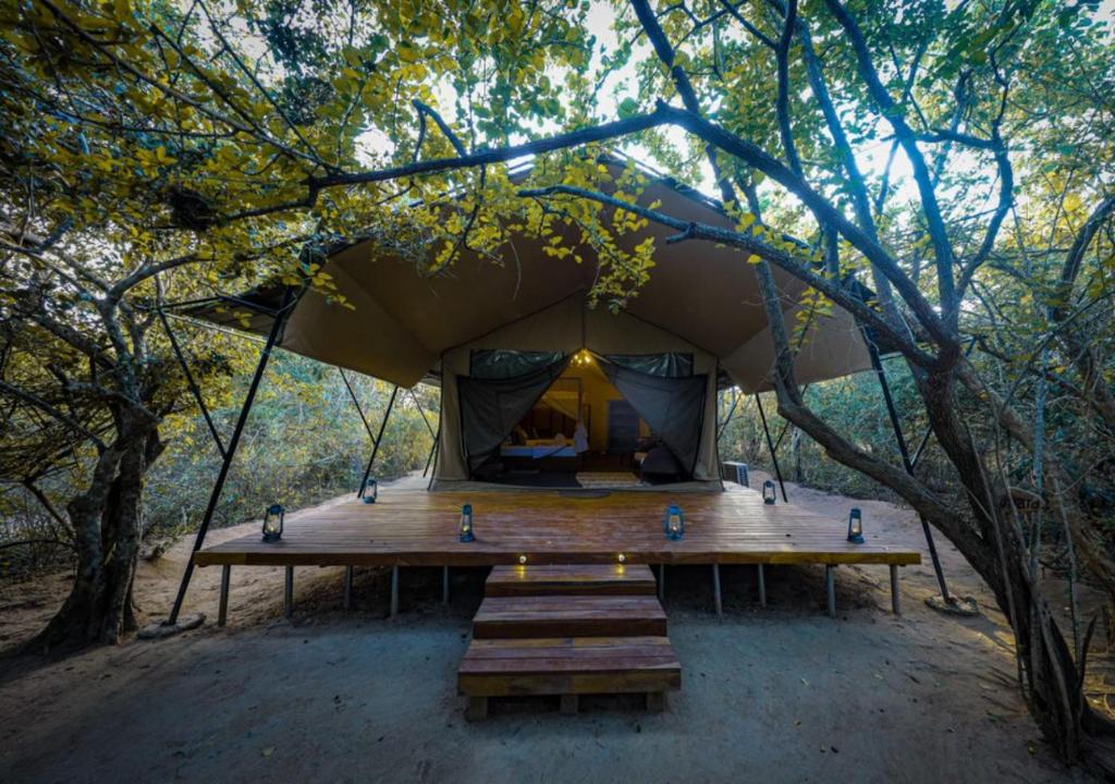 Tribe Yala - Luxury Camping - 8